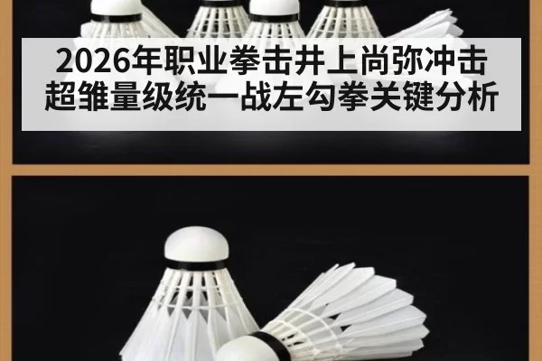 2026年职业拳击井上尚弥冲击超雏量级统一战左勾拳关键分析